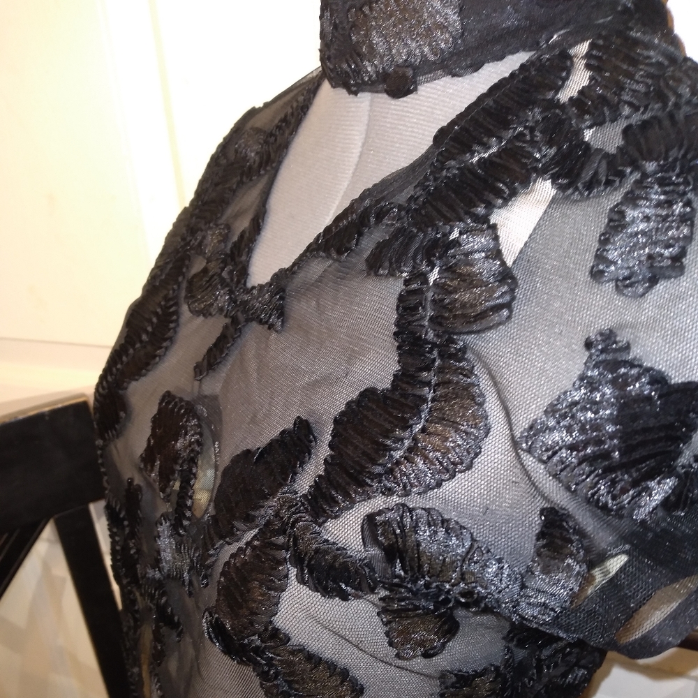 Gracia Cap Sleeve Sheer Lace Embroidered Top